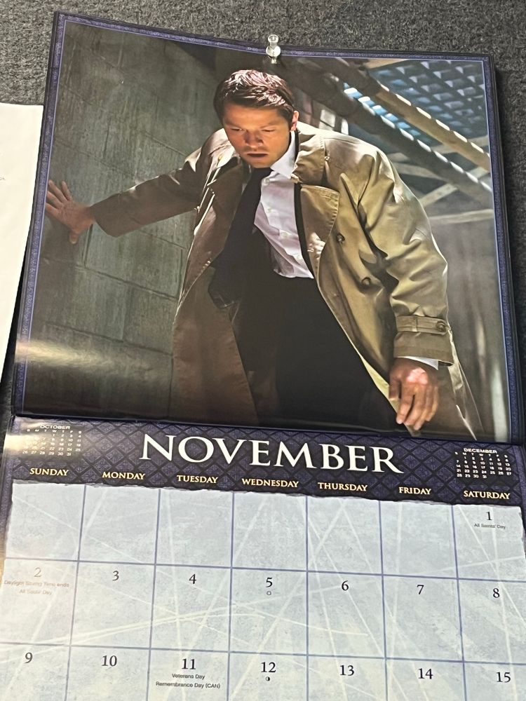 A calendar pined up on the wall opened to November with a shot of Castiel putting his right hand up on the wall, looking down with a scared and shocked expression on his face. 