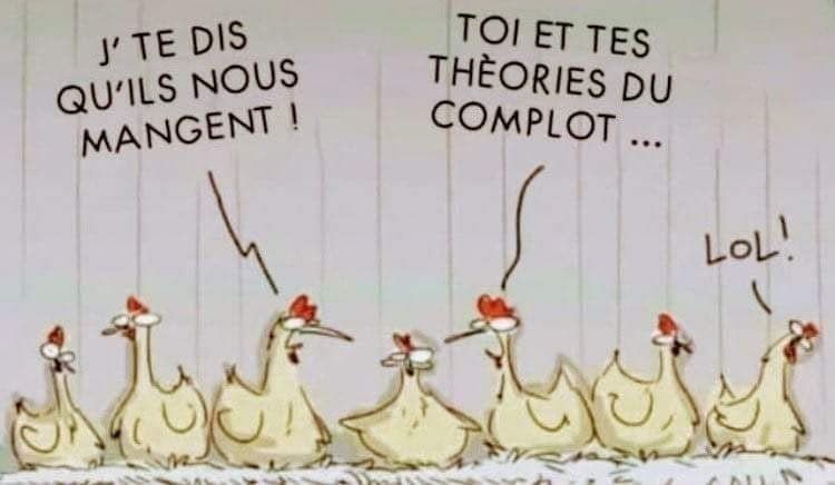 Comment image