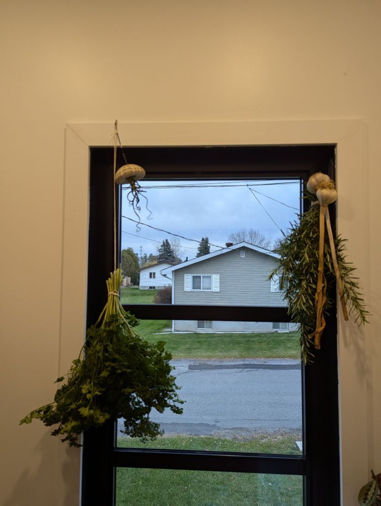 Parsley, rosemary, and garlic hanging in the pantry window.