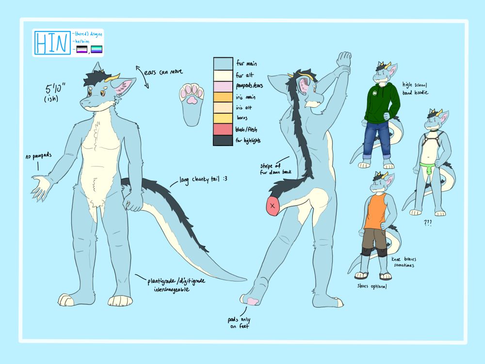 Reference sheet layout of a light blue furry dragon named “Hin”. Pictured is a front view, back view, and several examples of clothes he wears.