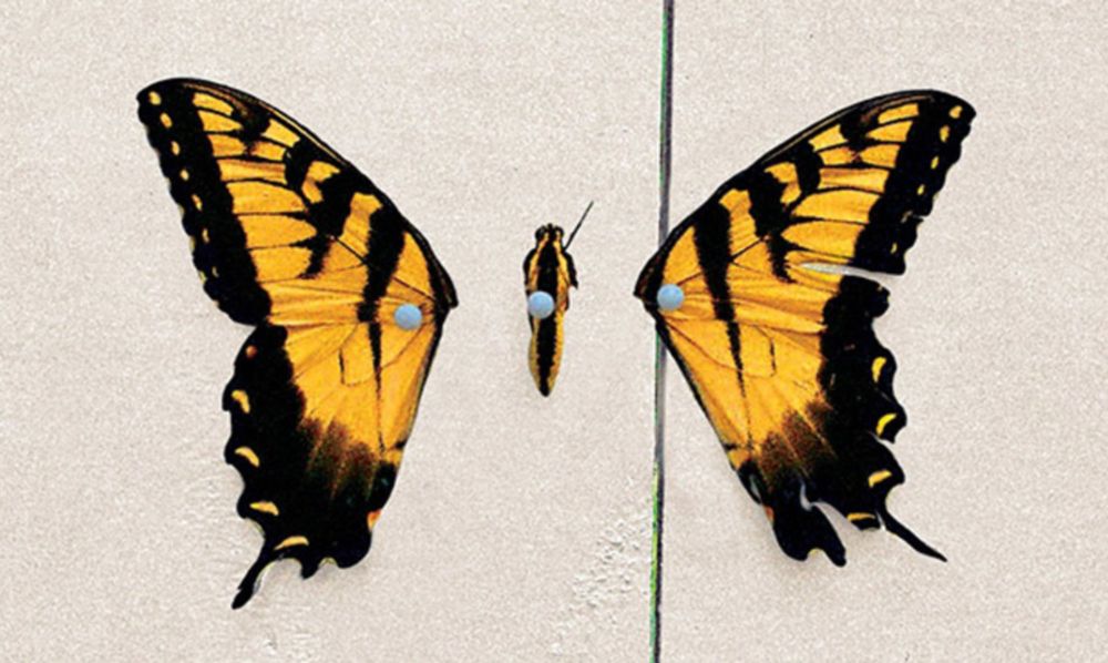 Brand New Eyes: 15 anos do álbum que redefiniu e salvou o Paramore | Moodgate