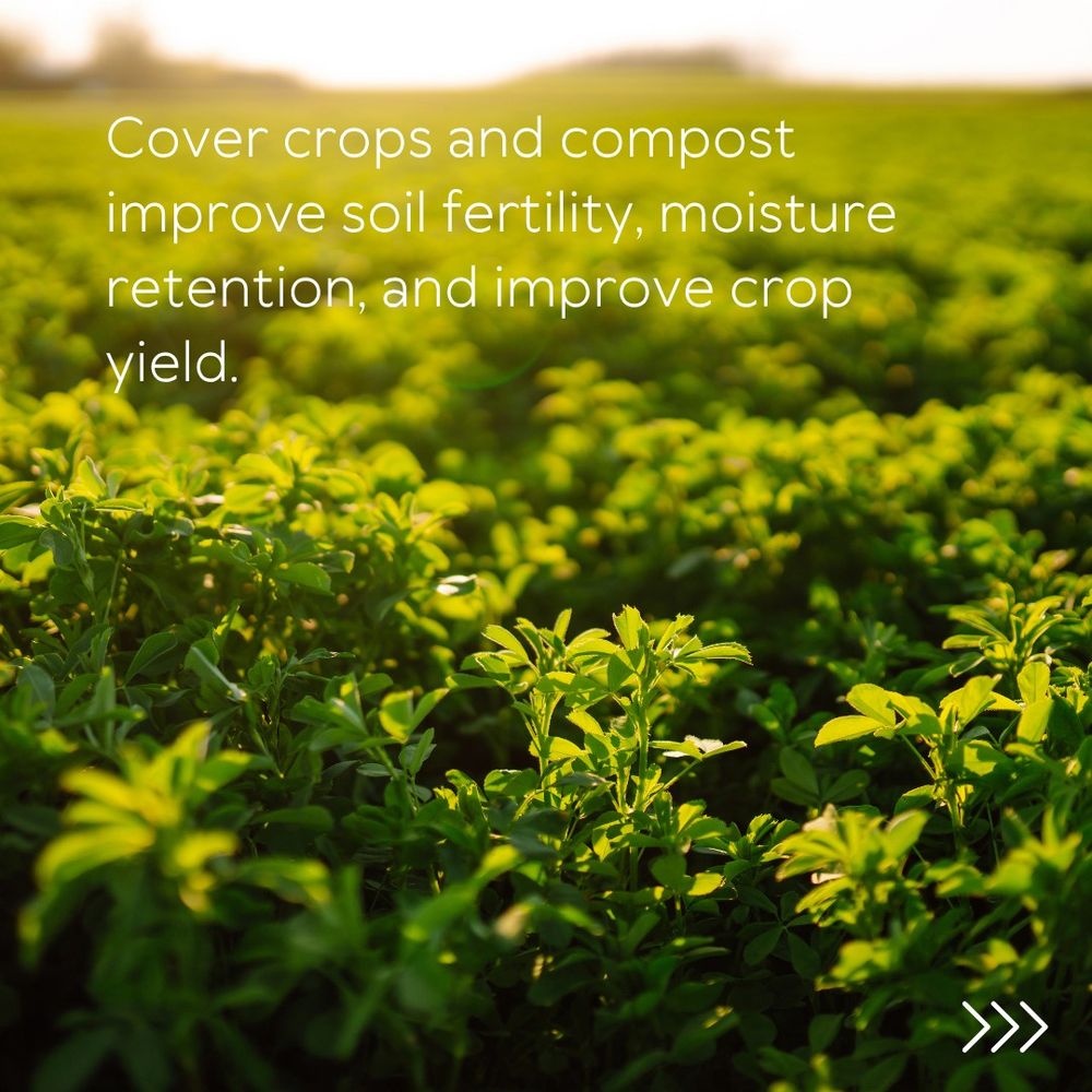 a field of green plants with the words "cover crops improve soil fertility, moisture retention, and improve crop yield" in white letters over the top.