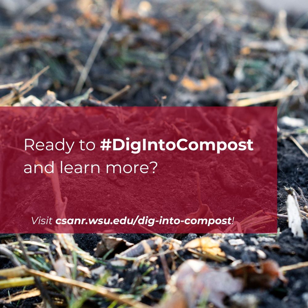 A closeup of brown compost with a red box over the top and the words "Rady to #DigIntoCompost and learn more? Visit https://csanr.wsu.edu/dig-into-compost/" in white letters.