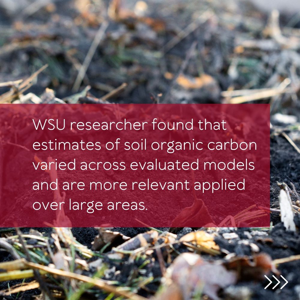A closeup of brown compost with a red box over the top and the words "WSU researchers found that estimates of soil organic carbon varied across evaluated models and are more relevant applied over large areas" in white letters.
