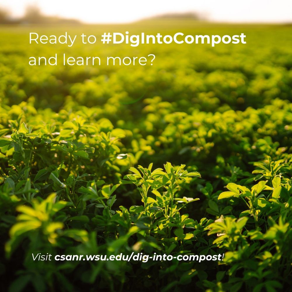 a field of green plants with the words "ready to #DigIntoCompost and learn more? visit https://csanr.wsu.edu/dig-into-compost/" in white letters over the top.