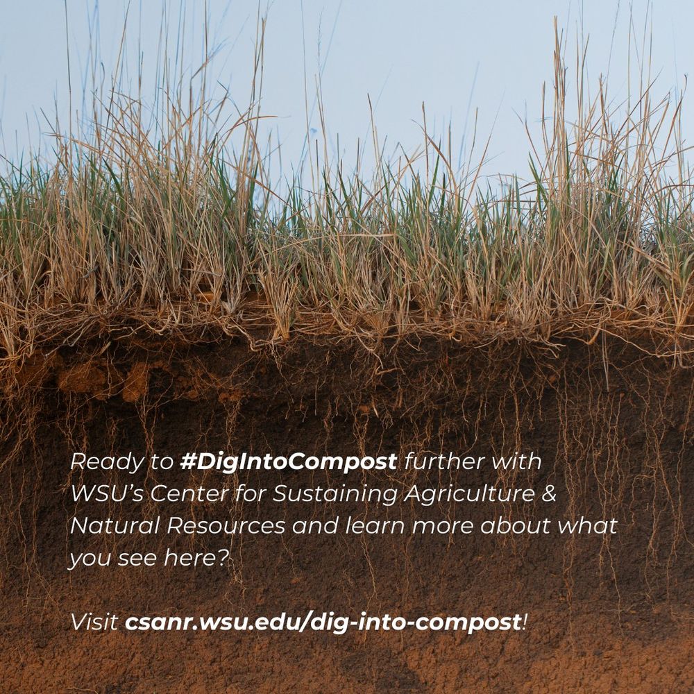close-up cross section of a field with grass growing on top and roots below. over the roots are the words "ready to #DigIntoCompost further with WSU's center for sustaining agriculture and natural resources and learn more about what you see here? visit: https://csanr.wsu.edu/dig-into-compost/".