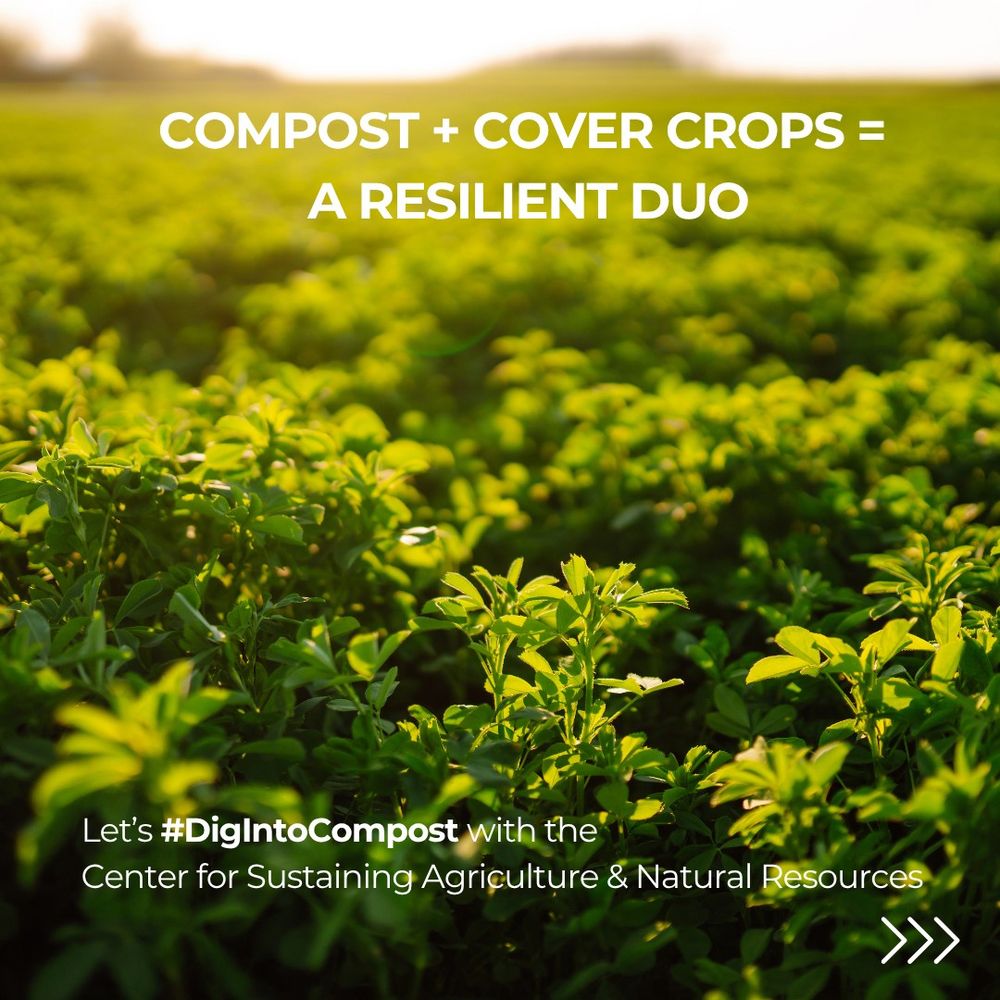 a field of green plants with the words "compost + cover crops = a resilient duo" in white letters over the top.
