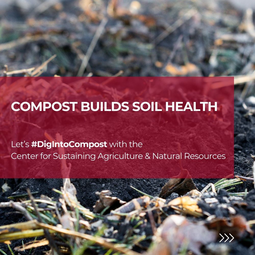 A close-up view of compost. There is a red box overlaid on the compost with the words "compost builds soil health"