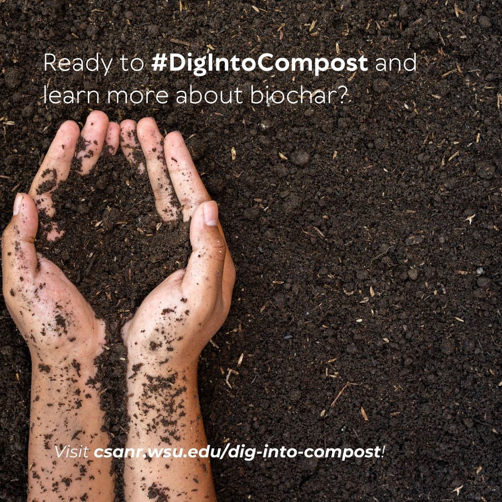 a pair of Caucasian hands is scooping compost from a larger pile.  the words "ready to #DigIntoCompost and learn more about biochar? visit https://csanr.wsu.edu/dig-into-compost/" are on top of the photo