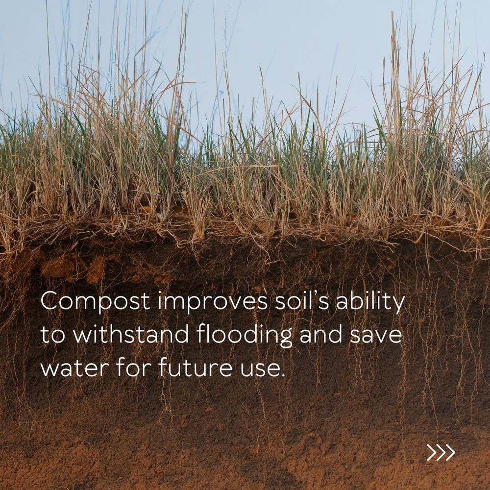 close-up cross section of a field with grass growing on top and roots below. over the roots are the words "compost improves soil's ability to withstand flooding and save water for future use".