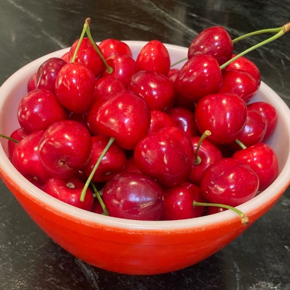 Bowl of RoundUp and cherries from grandpa's backyard.