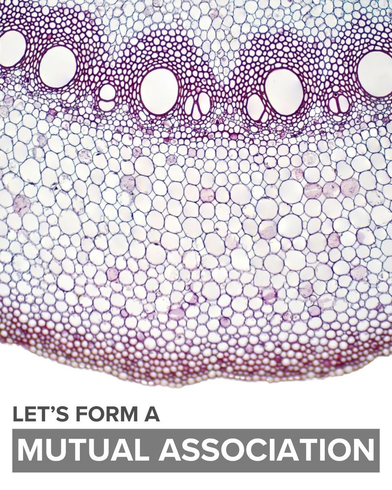 An invitation to "form a mutual association" interacts with a root's rhizosphere.