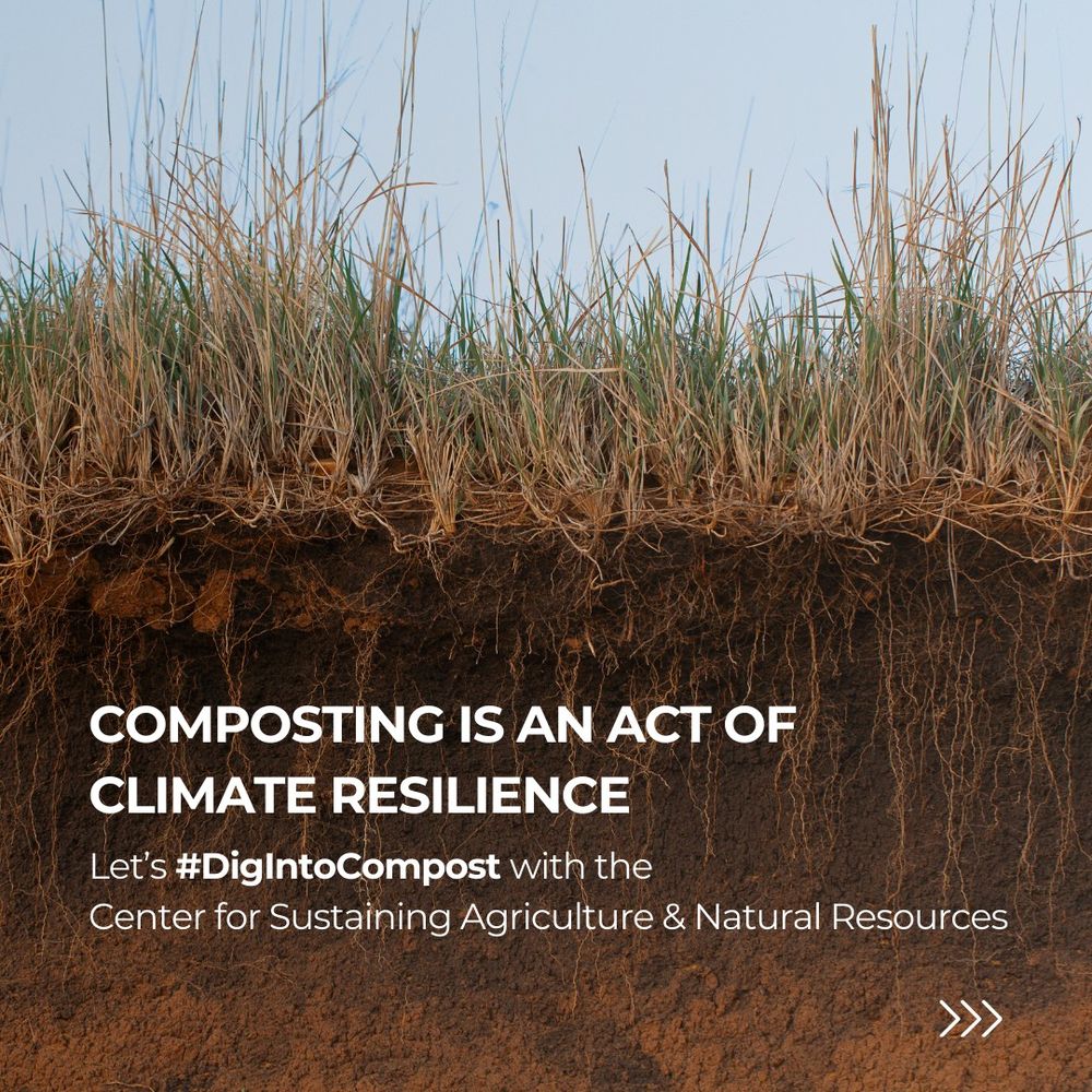 close-up cross section of a field with grass growing on top and roots below. over the roots are the words "composting is an act of climate resilience".