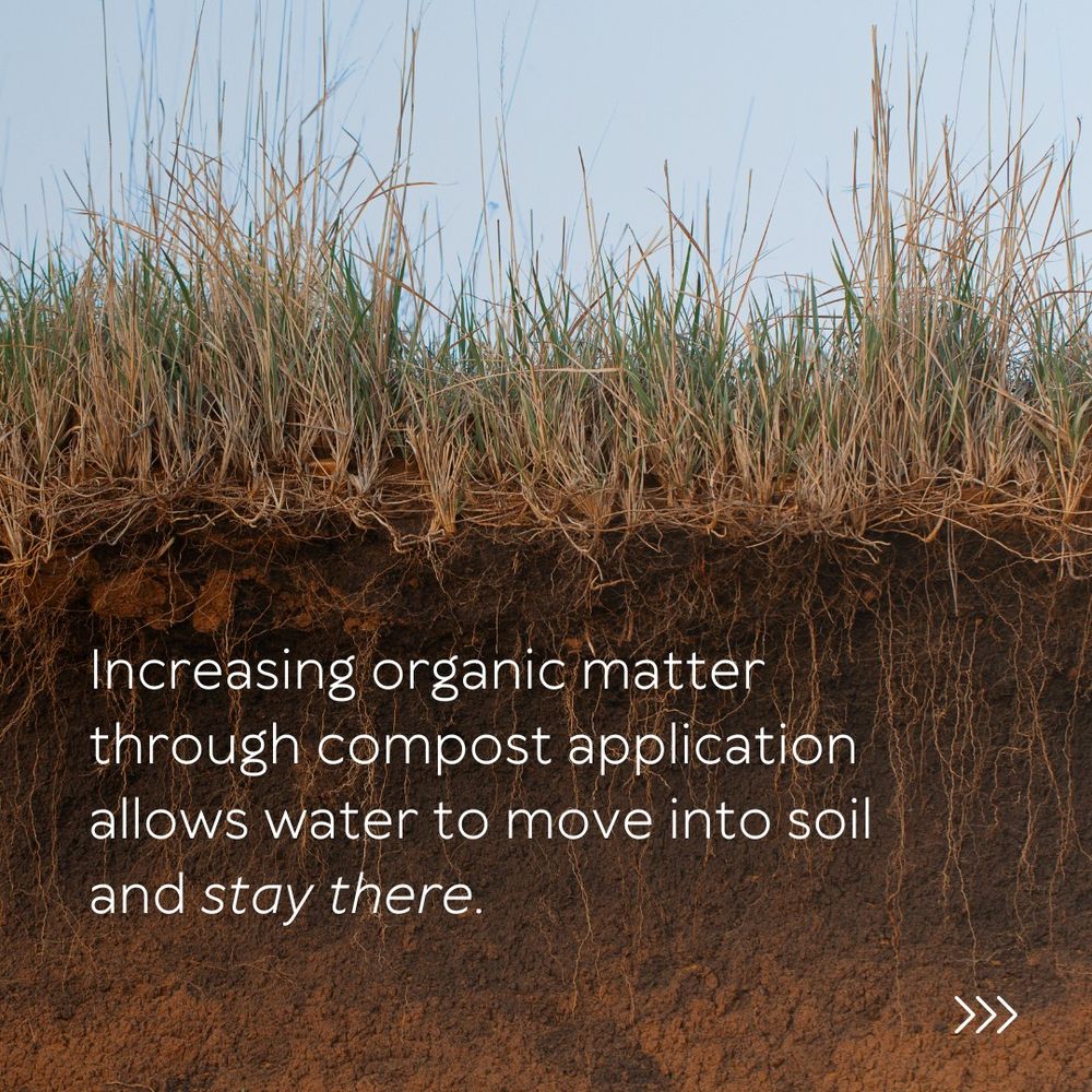 close-up cross section of a field with grass growing on top and roots below. over the roots are the words "increasing organic matter through compost application allows water to move into soil and stay there".