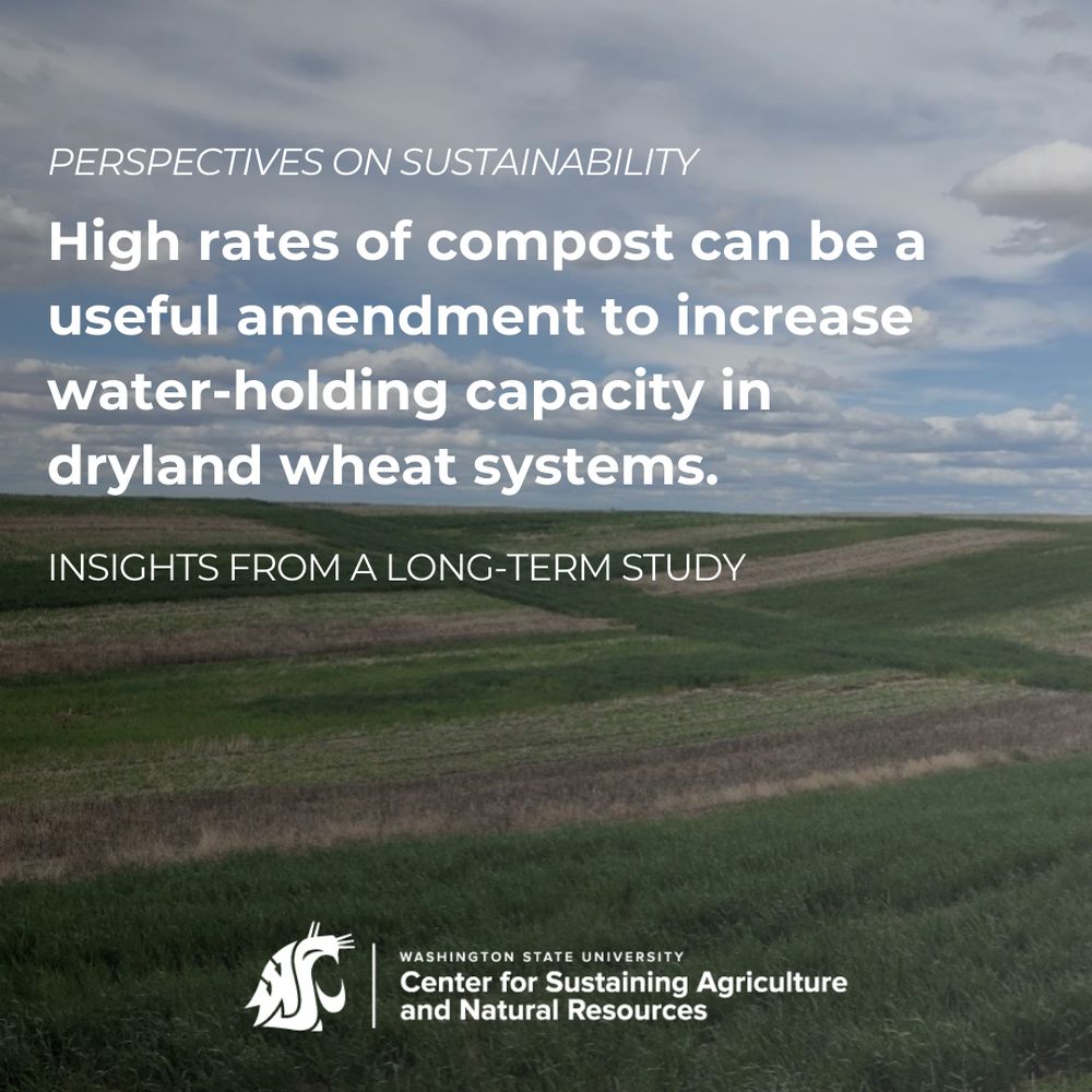 Rolling hills with green dryland wheat and a blue sky with white fluffy clouds.  Overlaid in white font are the words "high rates of compost can be a useful amendment to increase water-holding capacity in dryland wheat systems: insights from a long-term study."