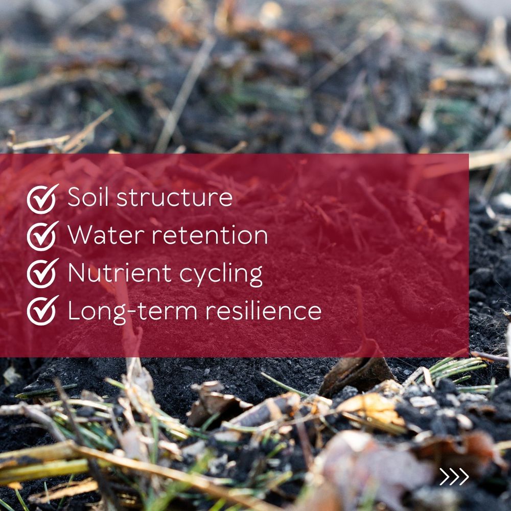 A close-up view of compost. There is a red box overlaid on the compost with the words "soil structure, water retention, nutrient cycling, and long-term resilience"