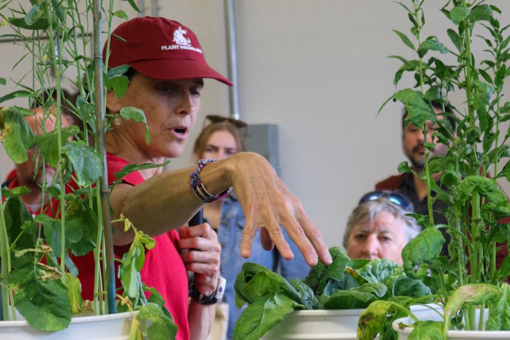 Lindsey du Toit, WSU Plant Pathology Department Chair, Alfred Christianson Distinguished Professor of Vegetable Seed Pathology & Extension Plant Pathologist gives a presentation about Verticillium.