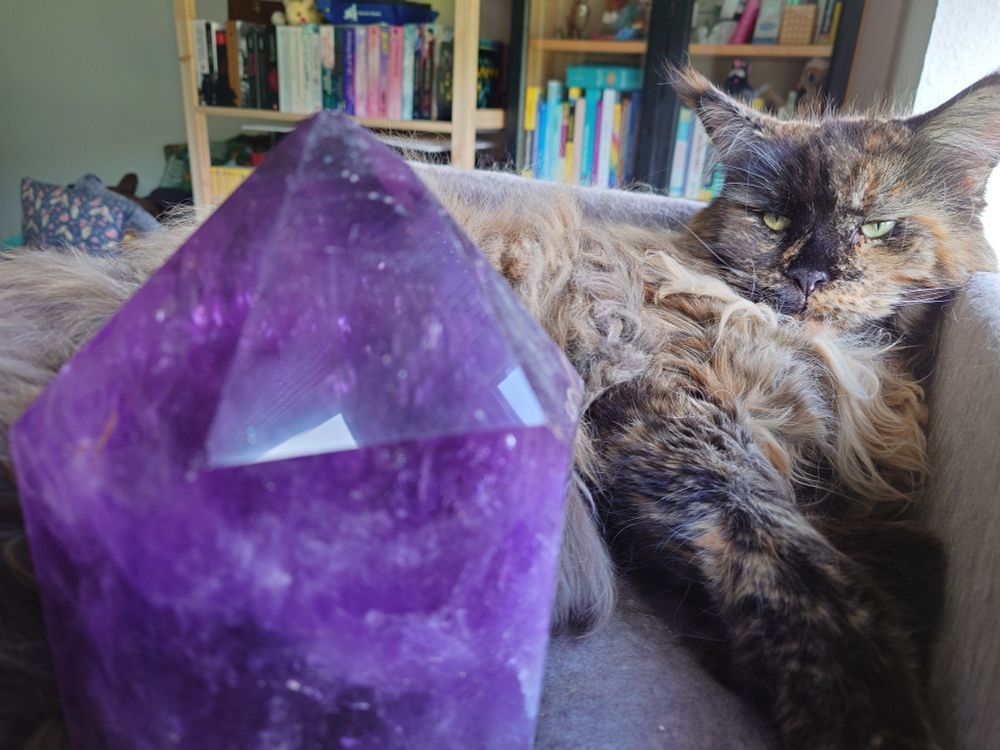In the foreground a big cut amethyst, in front of a Maine Coon cat. In the background book shelves