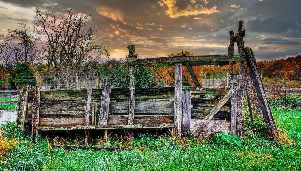 Old Cattle Chute, Dusk