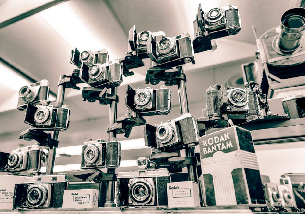 A Branch in a Forest of Cameras, viewed at the Camera Heritage Museum.
https://visitstaunton.com/listing/camera-heritage-museum/
