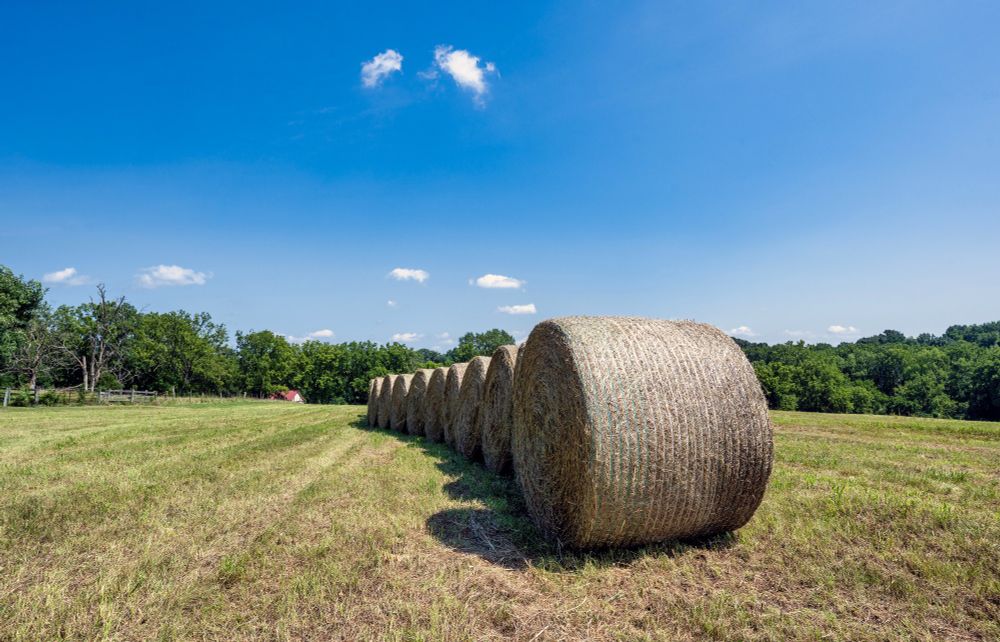 A Line of Round Bales