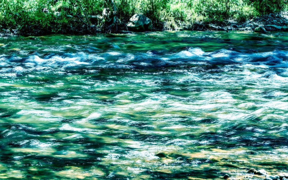 Summer Stream 