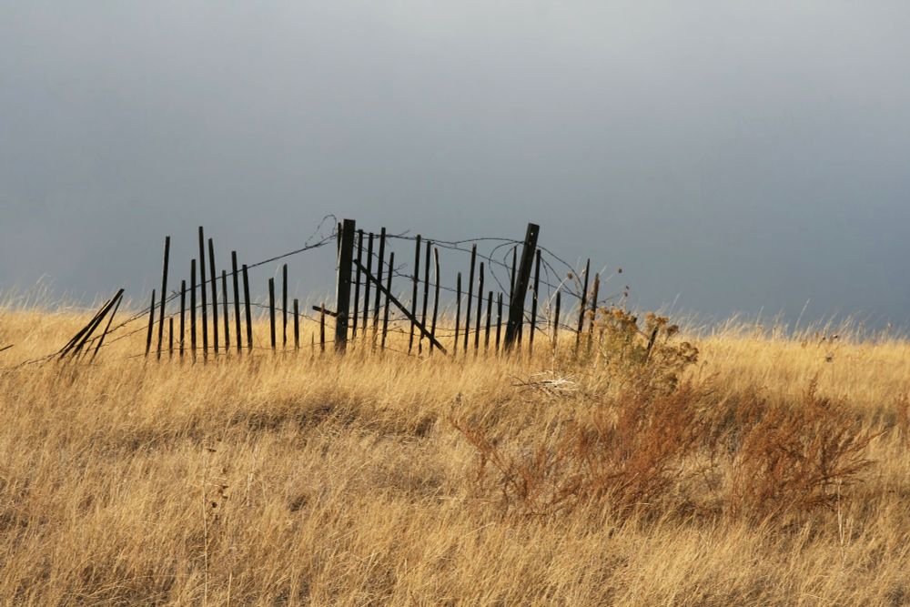 Broken Dunes Picket Fence