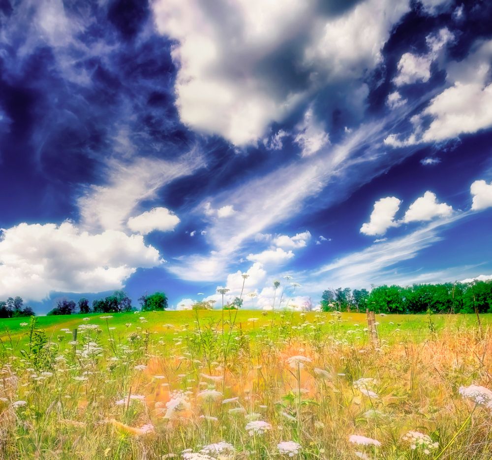 Perfect Summer Day