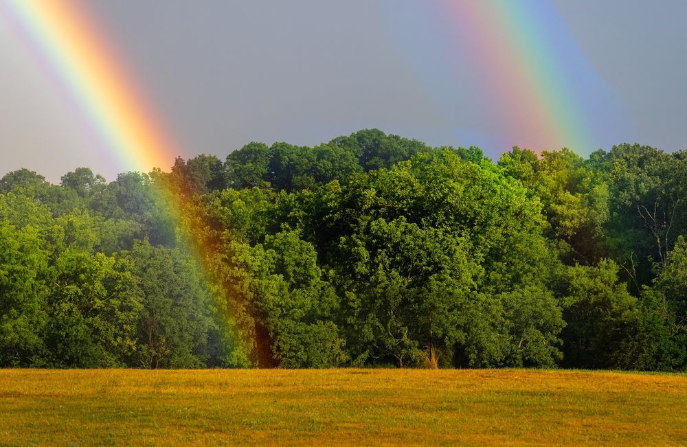 Double rainbow in our back field