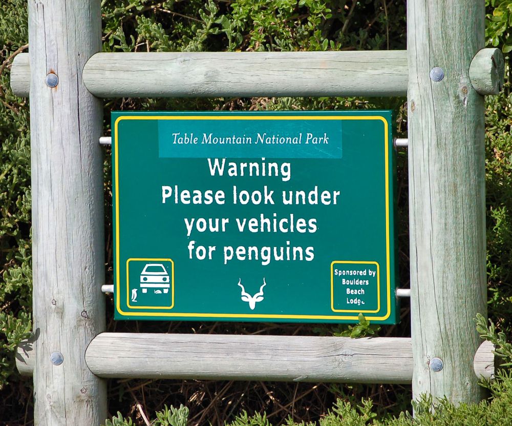 Table Mountain sign