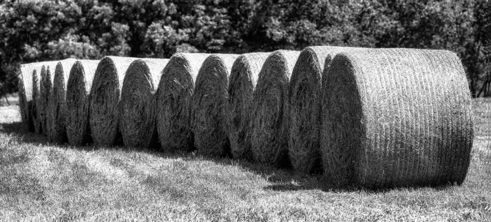 Pattern B&W