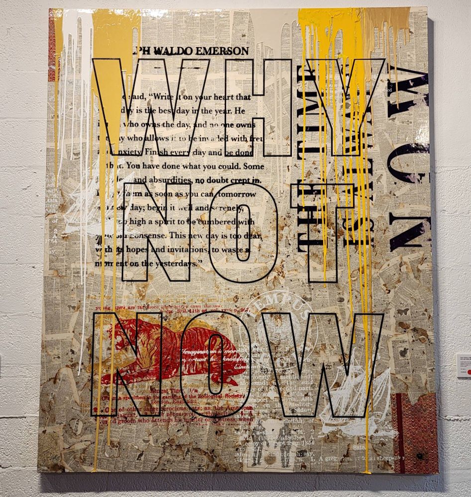 A collage featuring the text "why not now"