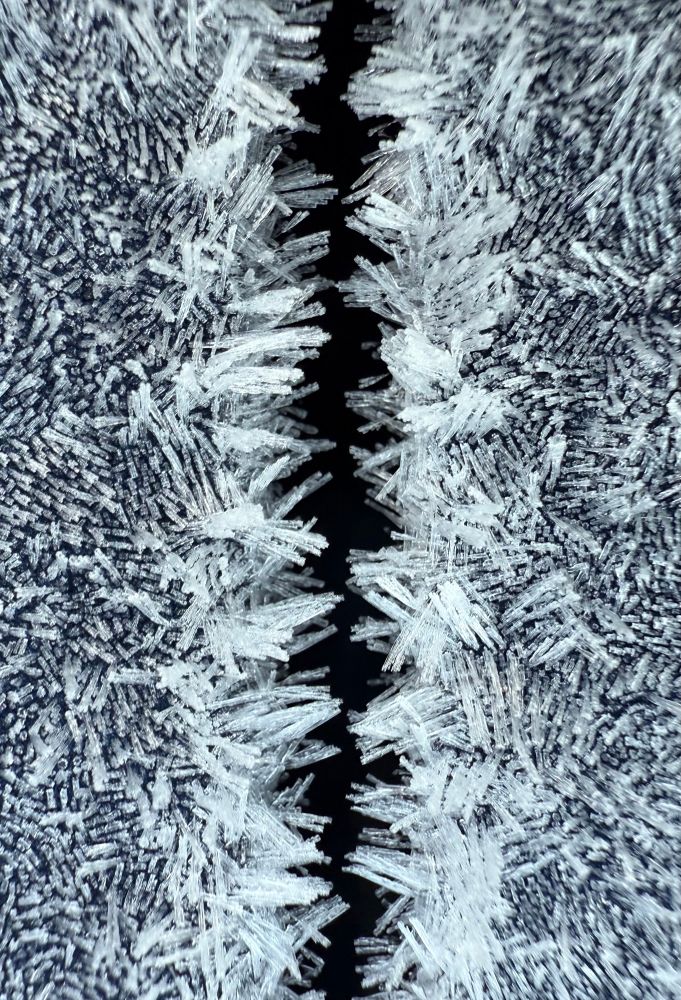 Ice formations on my car, making it look like a river with iced trees 