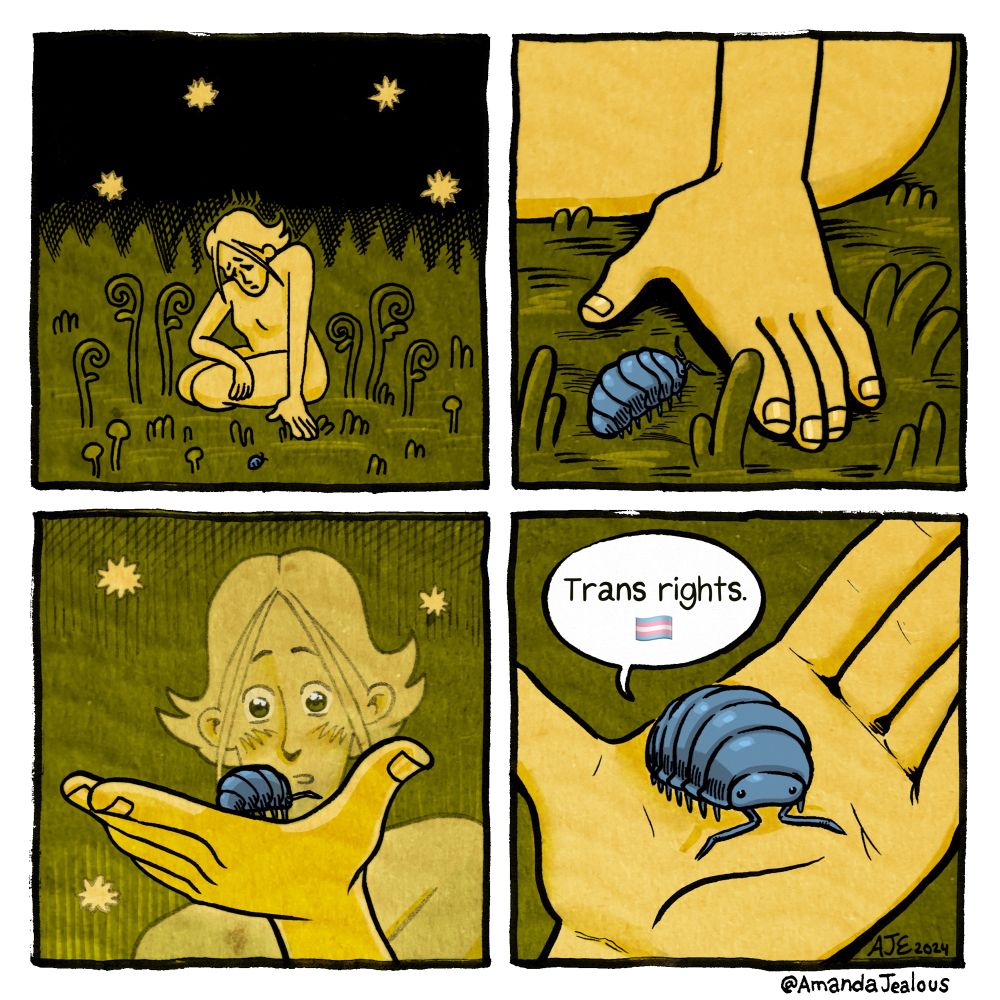 Four panel comic in a square 2x2 format, color scheme yellow, green, and grayish-blue.
 A person sits sadly by themselves in lush environment. A Pillbug approaches the person’s hand. The person picks up the Pillbug. The final panel shows the Pillbug in their hand and the Pillbug says “Trans rights. 🏳️‍⚧️"