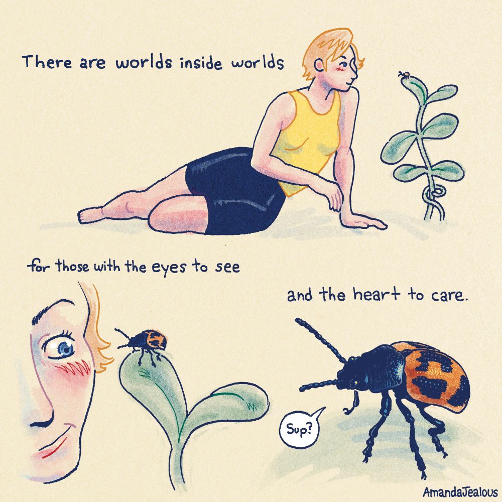 Short comic with no panel edges. There’s a woman in a yellow tank top and blue spandex shorts with short strawberry-blonde hair. She sits on the ground leaning in close to a plant. Next to her is text that reads “There are worlds inside worlds” The POV comes in close to the woman’s face, we see her smirks at a beetle on top of a leaf. The text continues “for those with the eyes to see” Close up on the beetle, a Swamp Milkweed Leaf Beetle, the beetle addresses the woman “Sup?”. The final portion of text reads “and the heart to care.”