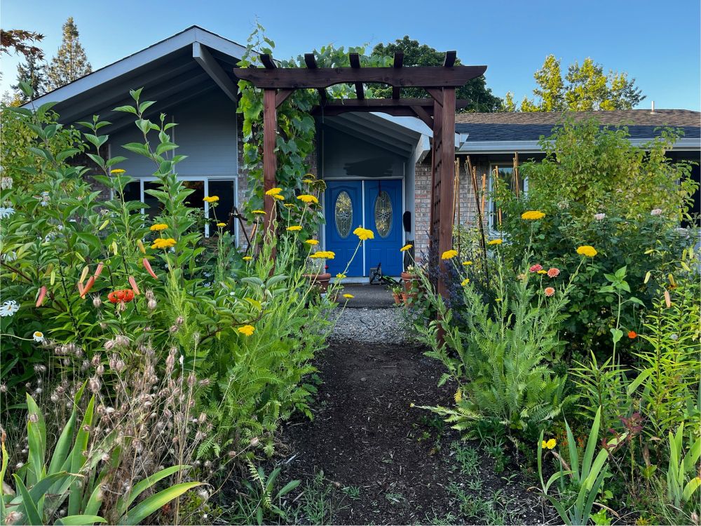 Photo of the front of a house. The garden is full of tall, green plants.
