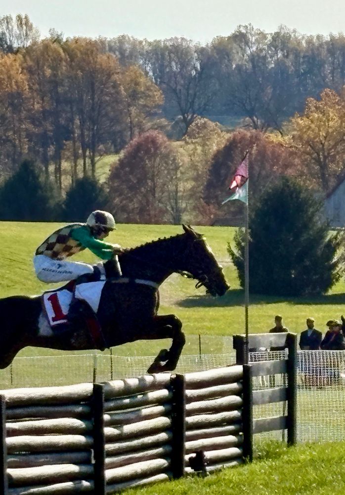 A racehorse jumping over a fence. 