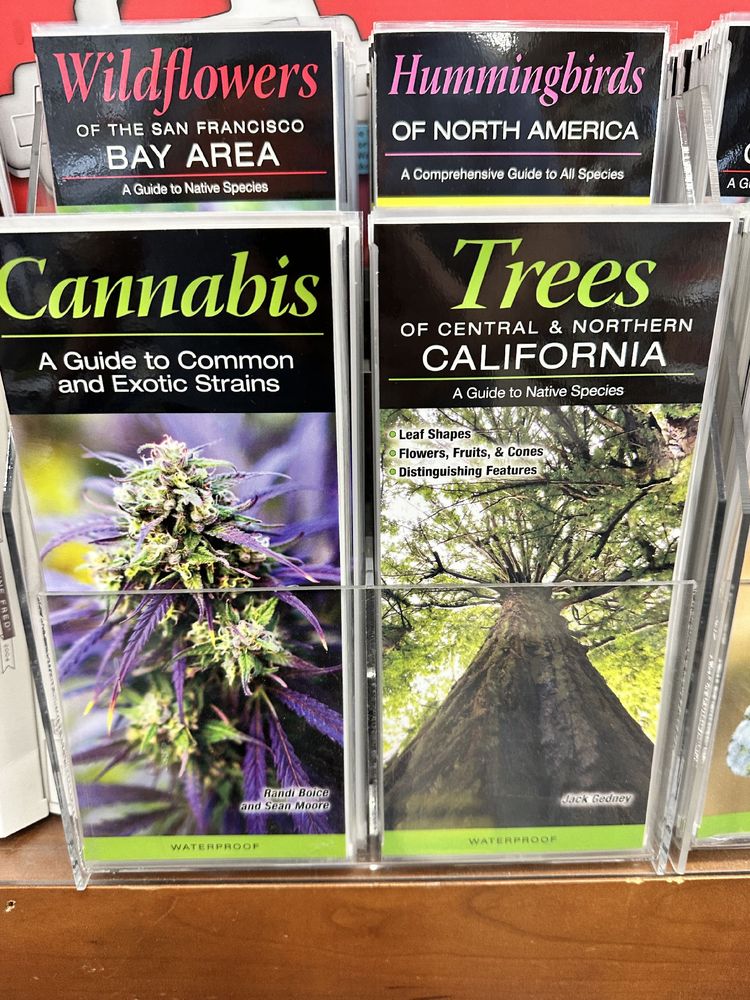 A rack of laminated quick-reference field guides, counterclockwise from top left: Wildflowers of the San Francisco Bay Area, Hummingbirds of North America, Trees of Central and Northern California, and Cannabis: A Guide to Common and Exotic Strains