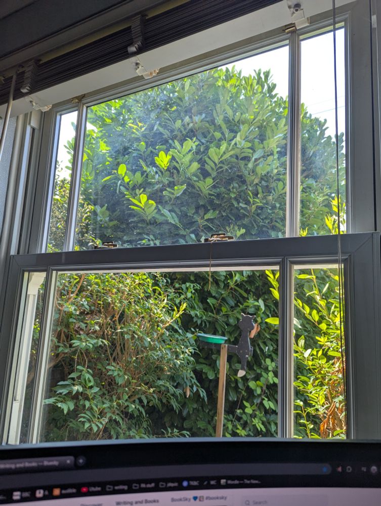 veiw from a window, showing lots of green trees and a bit of sky