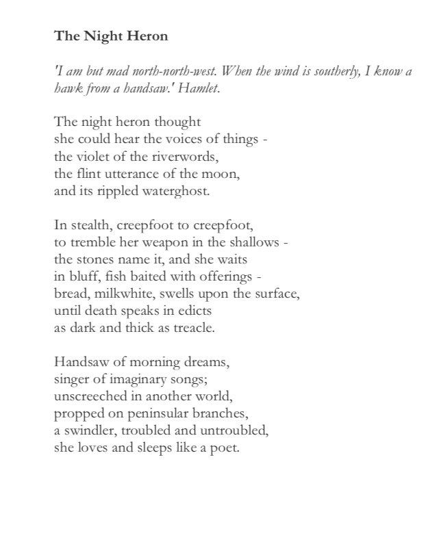 A poem by Rachel Deering 