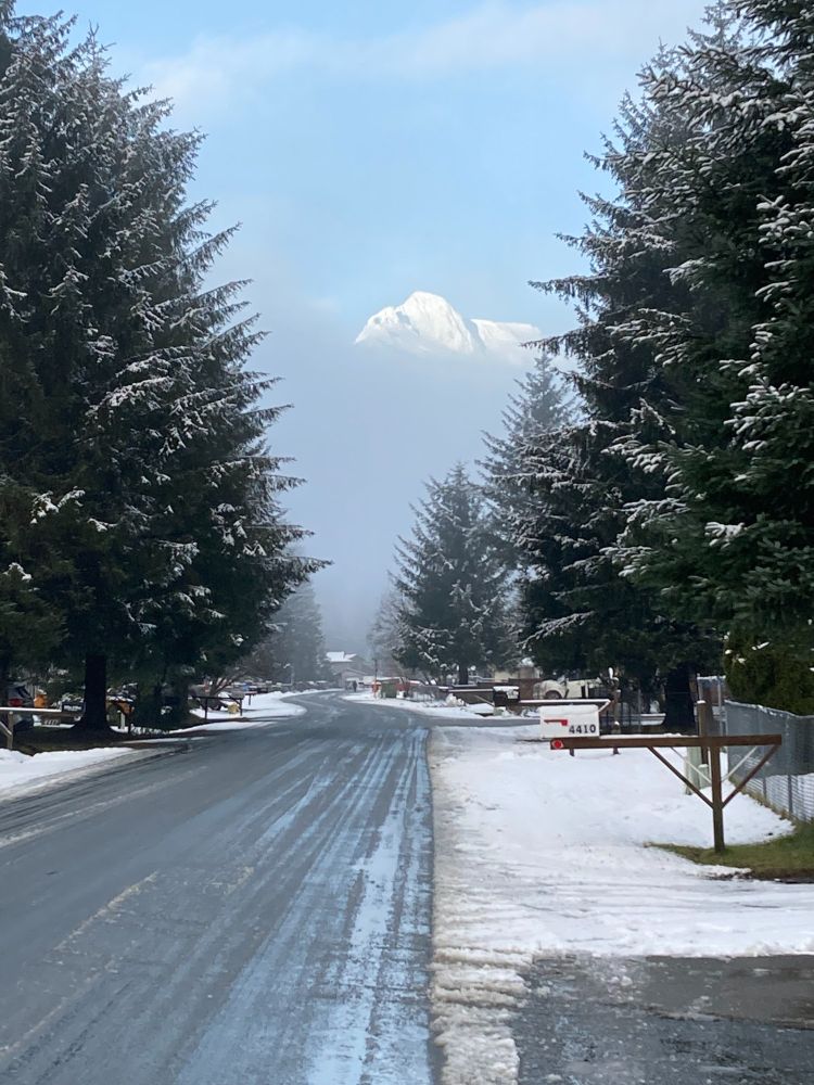A snowy mountain peak rises above the fog framed by snowy spruce trees on either side of a neighborhood road