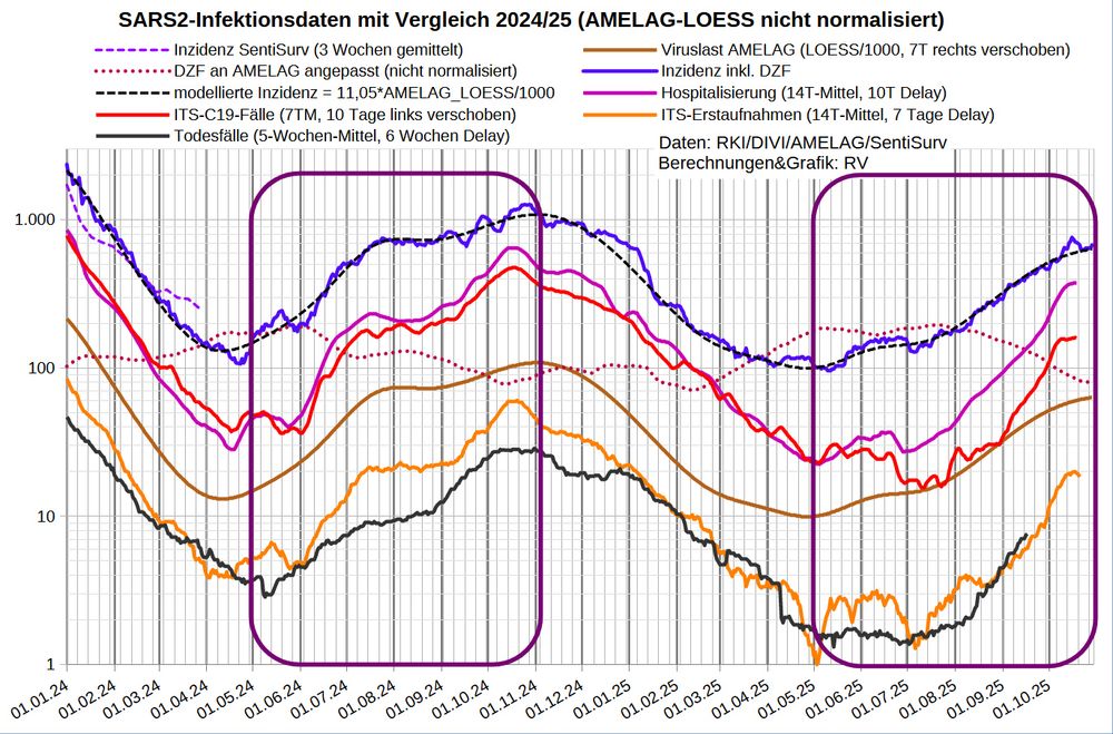 Die Grafik zeigt auf logarithmischer Skala wichtige Infektionsparameter:
- den DZF aus den Abwasserdaten (NICHT NORMALISIERT)
- die Inzidenz inkl. Dunkelfeld FT-korrigiert
- die Inzidenz in der SentiSurv Stichprobe (nur bis März '24)
- die wöchentlichen nicht normalisierten AMELAG-Daten (LOESS geglättet)
- modellierte Inzidenz nach den Abwasserdaten
- Hospitalisierung (14T-Mittel der 7T-Mittel, 10 Tage Delay)
- Coronafälle auf ITS (7T-Mittel, 10 Tage Delay)
- C19-Erstaufnahmen auf ITS (14T-Mittel, 7 Tage Delay)
- die berichteten C19-Todesfälle (35T-Mittel mit 42 Tage Delay)

Die ITS-Belegung und die Erstaufnahmen sind auf dem höchsten Stand seit Mitte Januar.

Die mittlere ITS-Dauer (Belegung/14TMittel_Erstaufnahmen) liegt mit 8,7 Tagen im normalen Bereich (8-12 Tage).

Die ITS-Quote (ITS-Belegung/Infektionen_14TM) beträgt 0,19% [0,19%], imme noch deutlich niedriger als seit 2024 bis Mai '25 (im Mittel 0,28%).