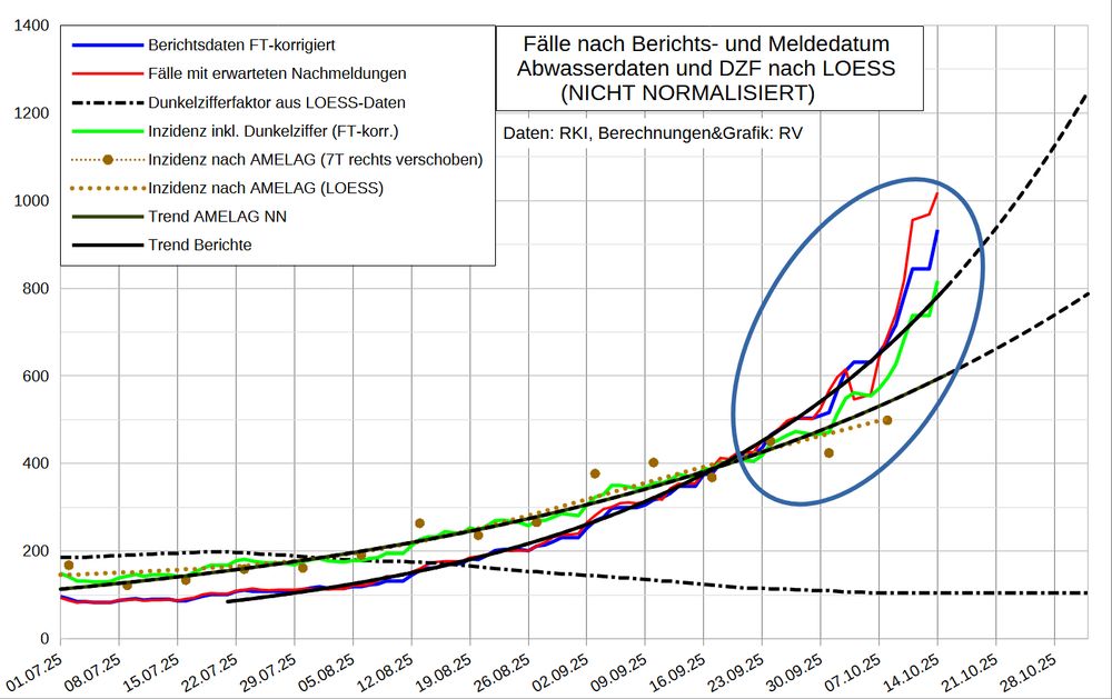 Die Grafik ist logarithmisch skaliert. Dadurch erscheint ein exponentieller Anstieg (oder Rückgang) als Gerade. 

Die linear skalierte Grafik zeigt den exponentiellen Anstieg extrapoliert bis Ende Oktober. Wie es die nächsten Wochen weiter geht, ist so unklar wie seit langem nicht mehr.

Die Grafik zeigt mit dem bis 105 fallenden DZF
die Fallmeldungen nach Berichts- und Meldedatum (blau/rot)
den Dunkelzifferfaktor (DZF) nach den NICHT NORMALISIERTEN Abwasserdaten (schwarz Strich-Punkt)
die mit den Abwasserdaten modellierte Inzidenz sowie die LOESS-Glättung (braun)
die Inzidenz inklusive Dunkelziffer (grün), jetzt deutlich niedriger
den exponentiellen Trend der Fallmeldungen und der Abwasserdaten (schwarz)
eine Extrapolation dieser Trends bis Ende Oktober (gestrichelt)

