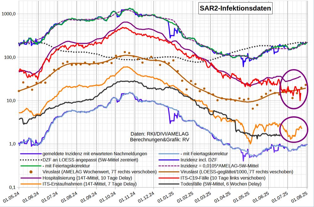 Die Grafik zeigt auf logarithmischer Skala wichtige Infektionsparameter:
- die Inzidenz nach Meldedatum (mit Nowcast für die letzten 5 Tage)
   - nach Berichtsdatum (Feiertags-korrigiert)
- den DZF aus den Abwasserdaten
- die Inzidenz inkl. Dunkelfeld nach Meldedatum
  - nach Berichtsdatum
- die Inzidenz in der SentiSurv Stichprobe (nur bis März '24)
- die wöchentlichen AMELAG-Daten, 7T rechts verschoben
- die SARS2-Viruslast (in 1000/Liter, LOESS-geglättet, 7T Vorlauf)
- die (reale) Inzidenz nach AMELAG [0,0105*Viruslast] (zentriertes, mittig stärker gewichtetes 5-Wochen-Mittel, 7T Vorlauf)
- Hospitalisierung (14T-Mittel der 7T-Mittel, 10 Tage Delay), von gestern
- Coronafälle auf ITS (10 Tage Delay)
- C19-Erstaufnahmen auf ITS (14T-Mittel, 7 Tage Delay)
- die berichteten C19-Todesfälle (35T-Mittel mit 42 Tage Delay)

Nach Datenstand 29.7. ist der R-Wert der LOESS-Glättung seit Wochen über 1 und steigend, zuletzt 1,03; beim 5W-Mittel steigt er auf 1,07. Den DZF habe ich vorsichtig von 20 auf 210 erhöht (rechnerisch >220).

Heute wurde zwei Erstaufnahmen gemeldet; die Belegung stieg um 5 (also 3 Wieder-Aufnahmen). 

Die ITS-Quote (ITS-Belegung/Infektionen_10_Tage_zuvor) ist jetzt 0,07%, viel weniger als das Mittel seit Jahresbeginn (0,27%) und als im Mittel der entsprechenden Tage '24 (0,21%). Das bedeutet wahrschenlich, dass weniger Patienten von der Normalstation auf ITS verlegt werden.
Die mittlere ITS-Dauer ist mit 6,8 Tagen unter dem normalen Bereich (8-12 Tage).

Im Grippeweb wird für KW30 aktuell wieder eine Inzidenz von nur ca. 100 (symptomatischen Fällen je 100.000 Einwohner) angegeben.
Bei Grippeweb plus war die Inzidenz im Juni 0 (kein Fall in der viel zu kleinen Kohorte von 480 Haushalten).
[Ein Fall im Monat entspricht einer (symptomatischen) 7-Tage-Inzidenz von ca. 50.]
