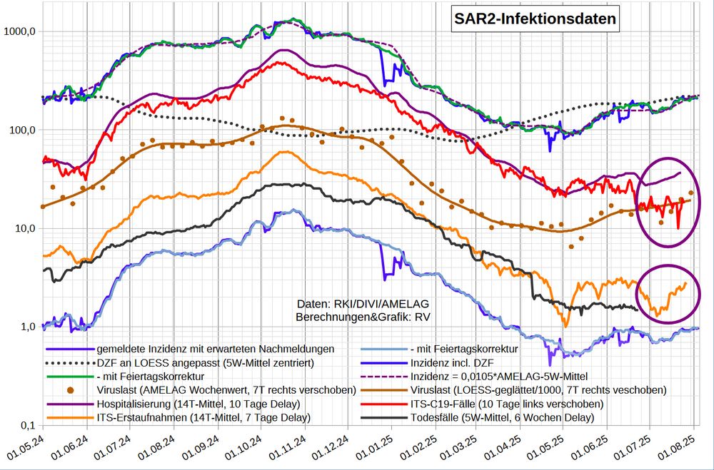 Die Grafik zeigt auf logarithmischer Skala wichtige Infektionsparameter:
- die Inzidenz nach Meldedatum (mit Nowcast für die letzten 5 Tage)
   - nach Berichtsdatum (Feiertags-korrigiert)
- den DZF aus den Abwasserdaten
- die Inzidenz inkl. Dunkelfeld nach Meldedatum
  - nach Berichtsdatum
- die Inzidenz in der SentiSurv Stichprobe (nur bis März '24)
- die wöchentlichen AMELAG-Daten, 7T rechts verschoben
- die SARS2-Viruslast (in 1000/Liter, LOESS-geglättet, 7T Vorlauf)
- die (reale) Inzidenz nach AMELAG [0,0105*Viruslast] (zentriertes, mittig stärker gewichtetes 5-Wochen-Mittel, 7T Vorlauf)
- Hospitalisierung (14T-Mittel der 7T-Mittel, 10 Tage Delay), von gestern
- Coronafälle auf ITS (10 Tage Delay)
- C19-Erstaufnahmen auf ITS (14T-Mittel, 7 Tage Delay)
- die berichteten C19-Todesfälle (35T-Mittel mit 42 Tage Delay)

Nach Datenstand 29.7. ist der R-Wert der LOESS-Glättung seit Wochen über 1 und steigend, zuletzt 1,03; beim 5W-Mittel steigt er auf 1,07. Den DZF habe ich vorsichtig von 210 auf 220 erhöht (rechnerisch >220).

Heute wurde eine Erstaufnahme gemeldet; die Belegung sank weder um  auf 218. 

Die ITS-Quote (ITS-Belegung/Infektionen_10_Tage_zuvor) ist jetzt nur noch 0,07%, viel weniger als das Mittel seit Jahresbeginn (0,27%) und als im Mittel der entsprechenden Tage '24 (0,21%). Das bedeutet wahrscheinlich, dass weniger Patienten von der Normalstation auf ITS verlegt werden.
Die mittlere ITS-Dauer ist mit 6,1 Tagen weit unter dem normalen Bereich (8-12 Tage).

Im Grippeweb wird für KW30 aktuell wieder eine Inzidenz von nur ca. 100 (symptomatischen Fällen je 100.000 Einwohner) angegeben.
Bei Grippeweb plus war die Inzidenz im Juni 0 (kein Fall in der viel zu kleinen Kohorte von 480 Haushalten).
[Ein Fall im Monat entspricht einer (symptomatischen) 7-Tage-Inzidenz von ca. 50.]