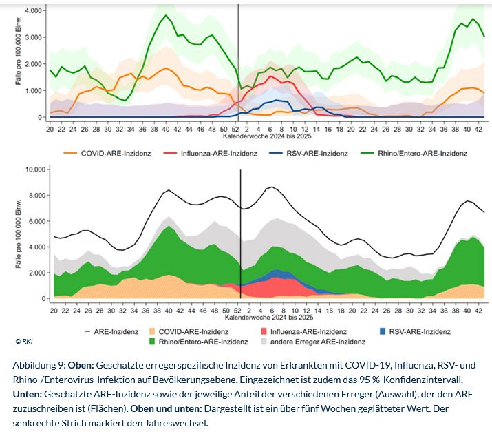 Abbildung 9: Oben: Geschätzte erregerspezifische Inzidenz von Erkrankten mit COVID-19, Influenza, RSV- und Rhino-/Enterovirus-Infektion auf Bevölkerungsebene. Eingezeichnet ist zudem das 95 %-Konfidenzintervall. Unten: Geschätzte ARE-Inzidenz sowie der jeweilige Anteil der verschiedenen Erreger (Auswahl), der den ARE zuzuschreiben ist (Flächen). Oben und unten: Dargestellt ist ein über fünf Wochen geglätteter Wert. Der senkrechte Strich markiert den Jahreswechsel.
© RKI