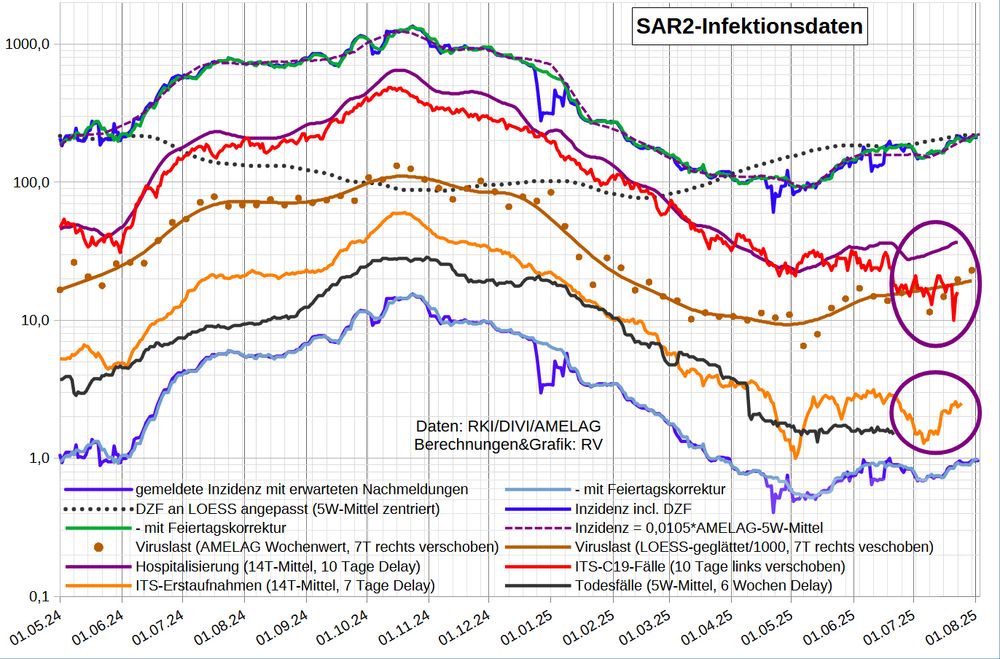 Die Grafik zeigt auf logarithmischer Skala wichtige Infektionsparameter:
- die Inzidenz nach Meldedatum (mit Nowcast für die letzten 5 Tage)
   - nach Berichtsdatum (Feiertags-korrigiert)
- den DZF aus den Abwasserdaten
- die Inzidenz inkl. Dunkelfeld nach Meldedatum
  - nach Berichtsdatum
- die Inzidenz in der SentiSurv Stichprobe (nur bis März '24)
- die wöchentlichen AMELAG-Daten, 7T rechts verschoben
- die SARS2-Viruslast (in 1000/Liter, LOESS-geglättet, 7T Vorlauf)
- die (reale) Inzidenz nach AMELAG [0,0105*Viruslast] (zentriertes, mittig stärker gewichtetes 5-Wochen-Mittel, 7T Vorlauf)
- Hospitalisierung (14T-Mittel der 7T-Mittel, 10 Tage Delay), von gestern
- Coronafälle auf ITS (10 Tage Delay)
- C19-Erstaufnahmen auf ITS (14T-Mittel, 7 Tage Delay)
- die berichteten C19-Todesfälle (35T-Mittel mit 42 Tage Delay)

Nach Datenstand 29.7. ist der R-Wert der LOESS-Glättung seit Wochen über 1 und steigend, zuletzt 1,03; beim 5W-Mittel steigt er auf 1,07. Den DZF habe ich vorsichtig von 20 auf 210 erhöht (rechnerisch >220).

Heute wurde zwei Erstaufnahmen gemeldet; die Belegung stieg um 1 auf 16. 

Die ITS-Quote (ITS-Belegung/Infektionen_10_Tage_zuvor) ist jetzt nur noch 0,06%, viel weniger als das Mittel seit Jahresbeginn (0,27%) und als im Mittel der entsprechenden Tage '24 (0,21%). Das bedeutet wahrscheinlich, dass weniger Patienten von der Normalstation auf ITS verlegt werden.
Die mittlere ITS-Dauer ist mit 6,3 Tagen weit unter dem normalen Bereich (8-12 Tage).

Im Grippeweb wird für KW30 aktuell wieder eine Inzidenz von nur ca. 100 (symptomatischen Fällen je 100.000 Einwohner) angegeben.
Bei Grippeweb plus war die Inzidenz im Juni 0 (kein Fall in der viel zu kleinen Kohorte von 480 Haushalten).
[Ein Fall im Monat entspricht einer (symptomatischen) 7-Tage-Inzidenz von ca. 50.]