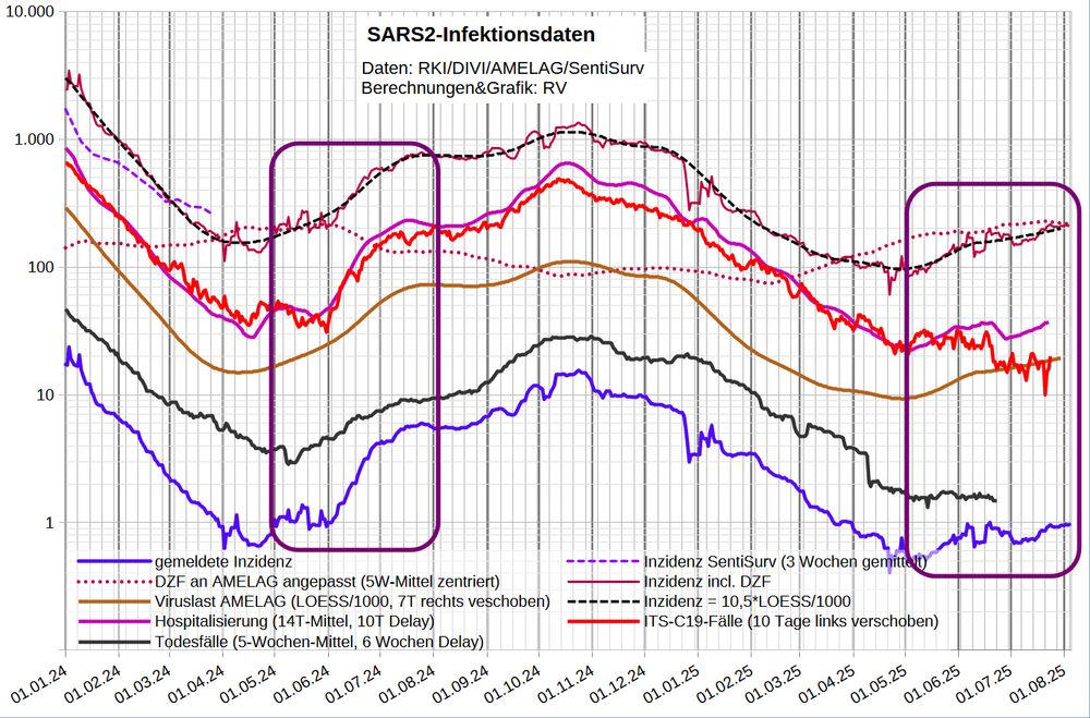 Die Grafik zeigt auf logarithmischer Skala wichtige Infektionsparameter:
- die Inzidenz nach Meldedatum (mit Nowcast für die letzten 5 Tage)
   - nach Berichtsdatum (Feiertags-korrigiert)
- den DZF aus den Abwasserdaten
- die Inzidenz inkl. Dunkelfeld nach Meldedatum
  - nach Berichtsdatum
- die Inzidenz in der SentiSurv Stichprobe (nur bis März '24)
- die wöchentlichen AMELAG-Daten, 7T rechts verschoben
- die SARS2-Viruslast (in 1000/Liter, LOESS-geglättet, 7T Vorlauf)
- die (reale) Inzidenz nach AMELAG [0,0105*Viruslast] (zentriertes, mittig stärker gewichtetes 5-Wochen-Mittel, 7T Vorlauf)
- Hospitalisierung (14T-Mittel der 7T-Mittel, 10 Tage Delay), von gestern
- Coronafälle auf ITS (10 Tage Delay)
- C19-Erstaufnahmen auf ITS (14T-Mittel, 7 Tage Delay)
- die berichteten C19-Todesfälle (35T-Mittel mit 42 Tage Delay)

Nach Datenstand 29.7. ist der R-Wert der LOESS-Glättung seit Wochen über 1 und steigend, zuletzt 1,03; beim 5W-Mittel steigt er auf 1,07. Den DZF habe ich vorsichtig von 20 auf 210 erhöht (rechnerisch >220).

Heute wurde fünf Erstaufnahmen gemeldet; die Belegung stieg um 4 auf 20. 

Die ITS-Quote (ITS-Belegung/Infektionen_10_Tage_zuvor) ist jetzt nur noch 0,07%, viel weniger als das Mittel seit Jahresbeginn (0,27%) und als im Mittel der entsprechenden Tage '24 (0,21%). Das bedeutet wahrscheinlich, dass weniger Patienten von der Normalstation auf ITS verlegt werden.
Die mittlere ITS-Dauer ist mit 5,9 Tagen weit unter dem normalen Bereich (8-12 Tage).

Im Grippeweb wird für KW30 aktuell wieder eine Inzidenz von nur ca. 100 (symptomatischen Fällen je 100.000 Einwohner) angegeben.
Bei Grippeweb plus war die Inzidenz im Juni 0 (kein Fall in der viel zu kleinen Kohorte von 480 Haushalten).
[Ein Fall im Monat entspricht einer (symptomatischen) 7-Tage-Inzidenz von ca. 50.]