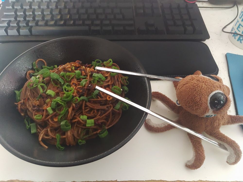 A plush octopus next to a bowl of pasta (Soba noodles in chilli crisp/sesame sauce, garnished with green onion)
