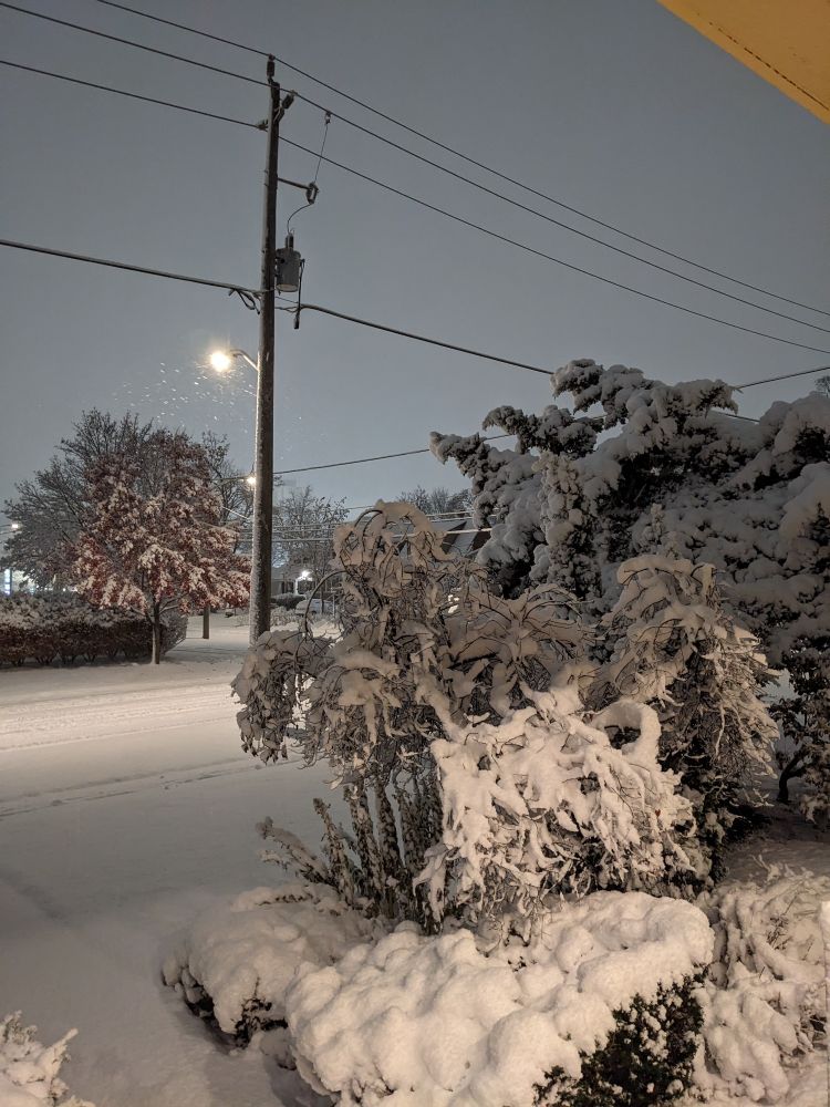 The snow seen from our porch. Dense snow covering the whole street and it is night time. It's also actively snowing in the picture. 